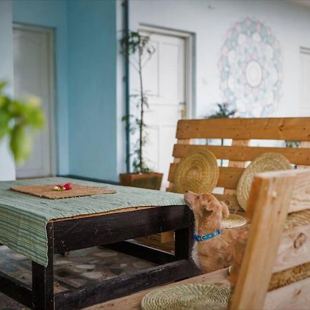Ananda Tree House Eco Homestay カトマンズ エクステリア 写真