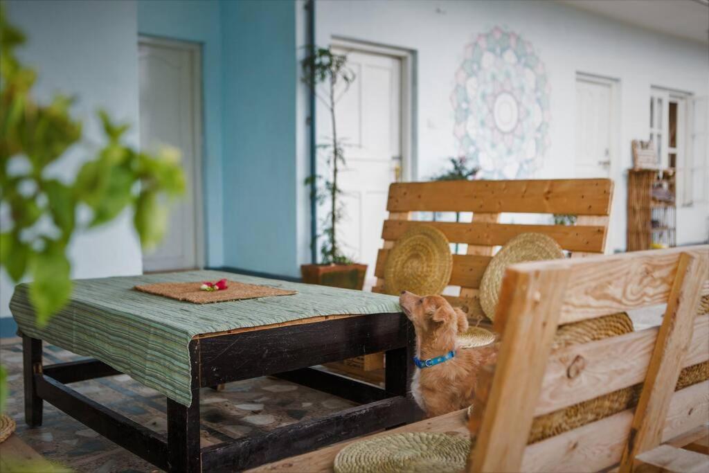 Ananda Tree House Eco Homestay カトマンズ エクステリア 写真