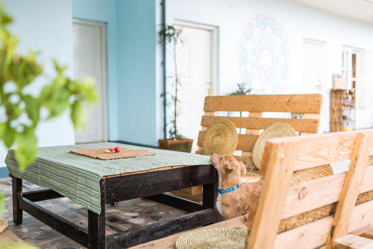 Ananda Tree House Eco Homestay カトマンズ エクステリア 写真
